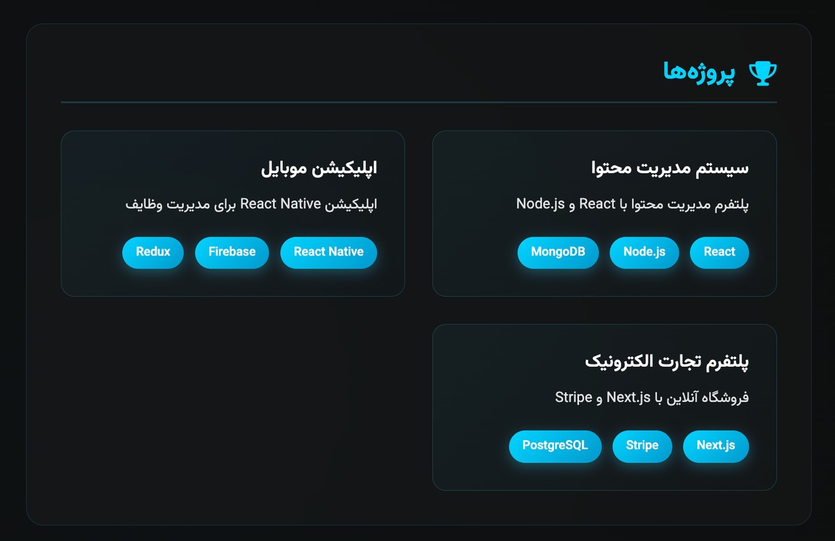 قالب رزومه حرفه‌ای - تصویر کوچک 3