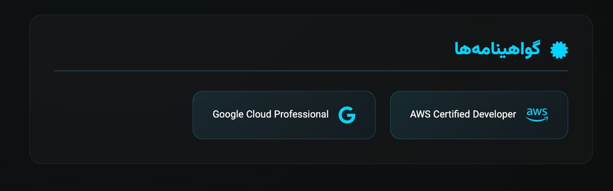 قالب رزومه حرفه‌ای - تصویر کوچک 4